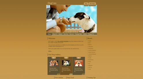 Dog Care