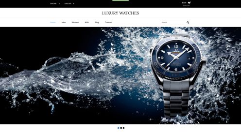 Luxury Watches